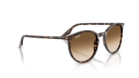 Ray-Ban RB2204 143151 51-20 Havana Yellow Turtle