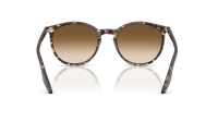 Ray-Ban RB2204 143151 51-20 Havana Yellow Turtle