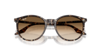 Ray-Ban RB2204 143151 51-20 Havana Yellow Turtle