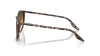 Ray-Ban RB2204 143151 51-20 Havana Yellow Turtle