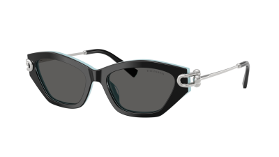 Sonnenbrille Tiffany & Co TF4231U 8055S4 53-17 Schwarz
