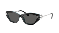 Tiffany & Co TF4231U 8055S4 53-17 Noir