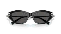 Tiffany & Co TF4231U 8055S4 53-17 Noir