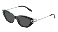 Tiffany & Co TF4231U 8055S4 53-17 Noir