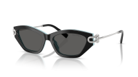Tiffany & Co TF4231U 8055S4 53-17 Noir