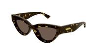 Bottega Veneta New classic BV1249S 002 53-22 Havana
