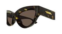 Bottega Veneta New classic BV1249S 002 53-22 Havana