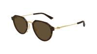 Bottega Veneta Ultrathin BV1331S 002 50-20 Havana Gold