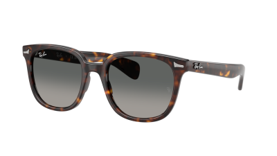 Lunettes de soleil Ray-Ban Brunel 2 RB2235 902/71 53-20 Havana