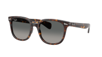 Ray-Ban Brunel 2 RB2235 902/71 53-20 Havana