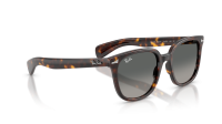 Ray-Ban Brunel 2 RB2235 902/71 53-20 Havana