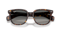 Ray-Ban Brunel 2 RB2235 902/71 53-20 Havana