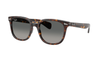 Ray-Ban Brunel 2 RB2235 902/71 53-20 Havana