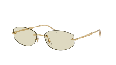 Ray-Ban RB3792 001/MG 55-17 Arista