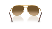 Ray-Ban Bill max RB3793 001/M2 56-17 Goud