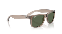 Ray-Ban Justin RB4165 691871 54-16 Transparent Brown