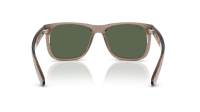 Ray-Ban Justin RB4165 691871 54-16 Transparent Brown