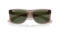 Ray-Ban Justin RB4165 691871 54-16 Transparent Brown