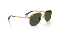 Ray-Ban Bill max RB3793 001/31 59-17 Arista