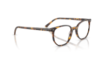Ray-Ban Elliot RX5397 8536 50-19 Havana Brown