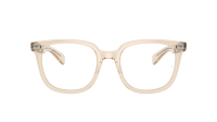 Ray-Ban Brunel 2 RX5535 8539 51-20 Transparent nude