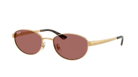 Ray-Ban RB3774D 001/69 55-19 Arista
