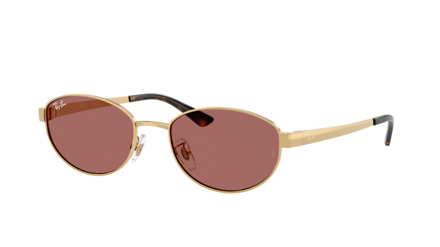 Zonnebrillen Ray-Ban RB3774D 001/69 55-19 Arista