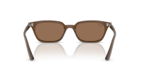 Ray-Ban Zaya Bio-based RB4456 677973 50-19 Transparent Brown