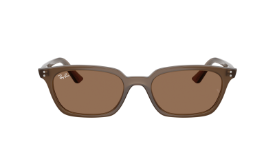 Sonnenbrille Ray-Ban Zaya Bio-based RB4456 677973 53-19 Transparent Brown