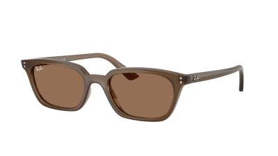 Ray-Ban Zaya Bio-based RB4456 677973 53-19 Transparent Brown