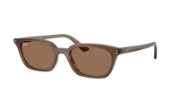 Ray-Ban Zaya Bio-based RB4456 677973 53-19 Transparent Brown