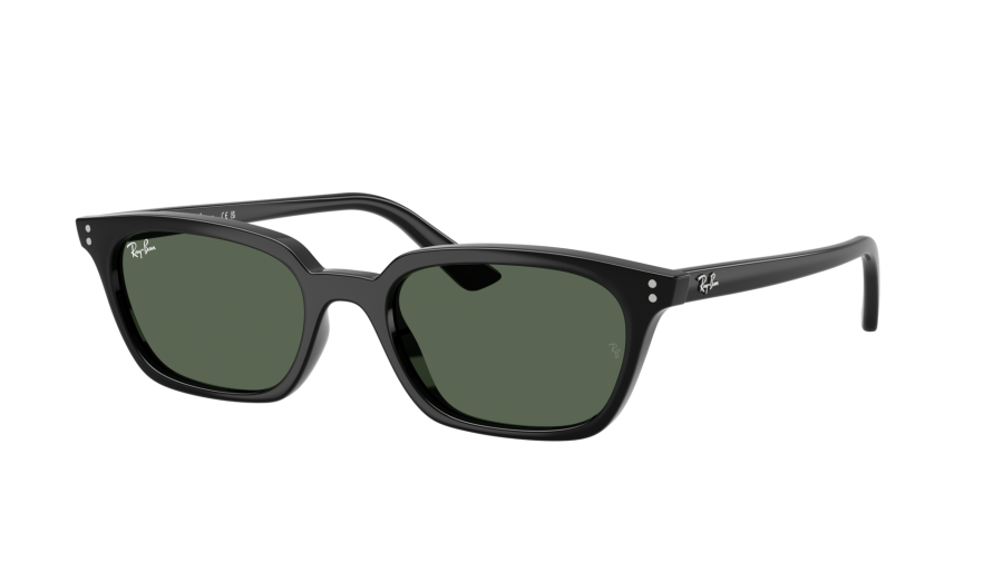 Zonnebrillen Ray-Ban Zaya Bio-based RB4456 667771 53-19 Zwart