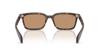 Ray-Ban Brunel RB2234 902/53 53-19 Havana