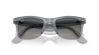 Ray-Ban Wayfarer RB2140 684671 50-22 Transparent grey