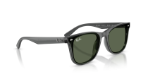 Ray-Ban RB4420 691971 65-18 Transparent grey