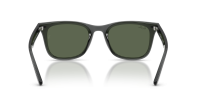 Ray-Ban RB4420 691971 65-18 Transparent grey