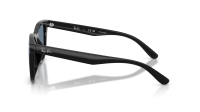 Ray-Ban RB4420 601/2V 65-18 Zwart