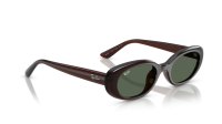 Ray-Ban Bio-based RB4441D 714/71 53-21 Transparent Brown