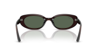 Ray-Ban Bio-based RB4441D 714/71 53-21 Transparent Brown