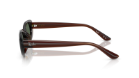 Ray-Ban Bio-based RB4441D 714/71 53-21 Transparent Brown
