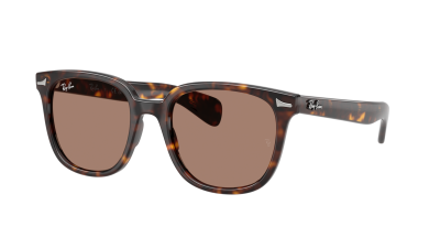Sunglasses Ray-Ban Brunel 2 RB2235 902/1A 53-20 Havana
