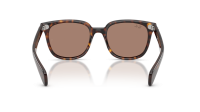 Ray-Ban Brunel 2 RB2235 902/1A 53-20 Havana