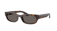 Ray-Ban RB2236 902/B1 54-20 Havana
