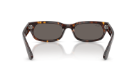 Ray-Ban RB2236 902/B1 54-20 Havana