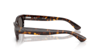 Ray-Ban RB2236 902/B1 54-20 Havana