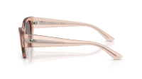 Ray-Ban Zena Bio-based RB4430 692573 52-22 Transparent Pink