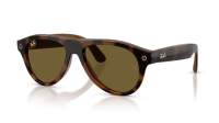 Ray-Ban Meta aviator Gen 3 RW4016 690573 54-18 Havana
