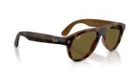 Ray-Ban Meta aviator Gen 3 RW4016 690573 54-18 Havana