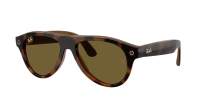Ray-Ban Meta aviator Gen 3 RW4016 690573 54-18 Havana