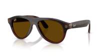 Ray-Ban Meta aviator Gen 3 RW4016 6912JD 54-18 Transparent Umber
